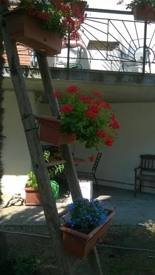 B&B Teranga Montecarotto Exterior foto
